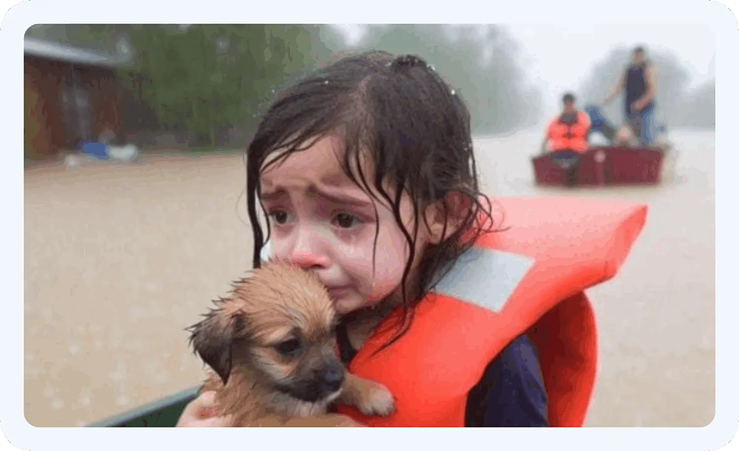 Известная нейрослоп-картинка, которая является фейком