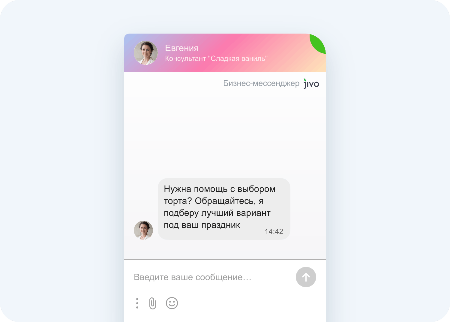 Как выглядит чат на сайте Jivo